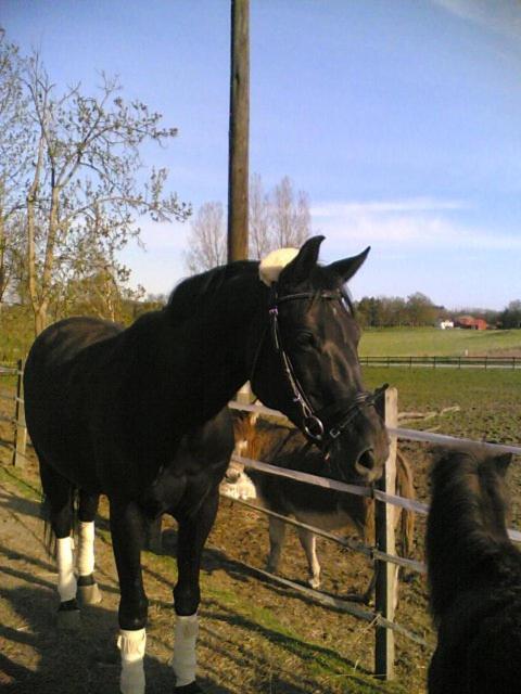 Et-Home Kungsbacka Buitenkant foto